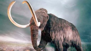   Científico ruso: Pronto sabremos si células de mamut son aptas para clonación 