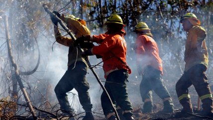   Conaf ante paro de trabajadores: Cumplimos con las legislación laboral 