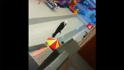 Captan violento asalto en centro comercial de Pucón