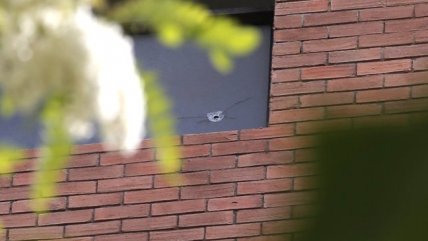   El nuevo suicidio de un militar procesado por derechos humanos 