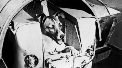   La Historia Es Nuestra: El viaje espacial de la perra 