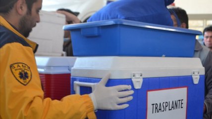   Donantes de órganos en Chile han disminuido en un 47 por ciento 