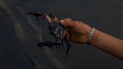  La contaminación ahoga al Lago de Maracaibo  