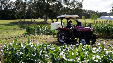   Falta de fertilizantes por guerra lleva a Latinoamérica a buscar alternativas 
