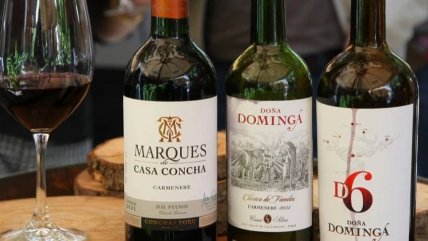   Los ganadores del concurso nacional 