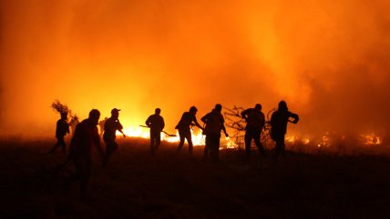   Alcaldesa de Santa Juana: 