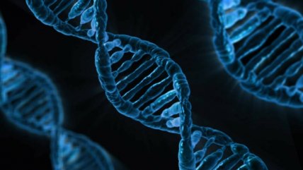 China: Extraen ADN de un esqueleto humano de 6.000 años  