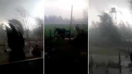   Fuerte viento, con características de tornado, causó diversos estragos en Malalhue 