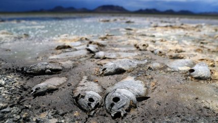   Sequía convirtió en desiertos tres lagunas en México 