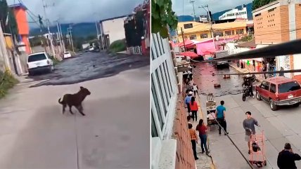   Alud de lodo volcánico invadió calles en localidad mexicana 