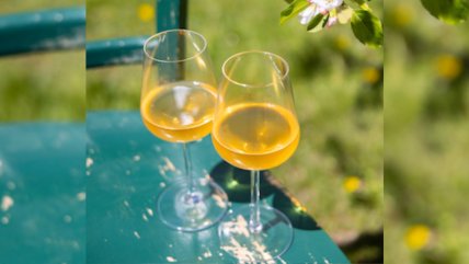   Chile será protagonista del principal encuentro mundial de la sidra, en Chicago 