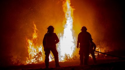  Incendios forestales en La Araucanía ya han destruido al menos siete infraestructuras  