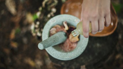   La medicina ayurvédica busca su espacio en la salud pública de Chile 