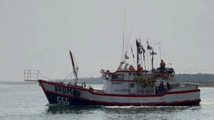   Huesos hallados en planta pesquera de Coronel no son humanos 