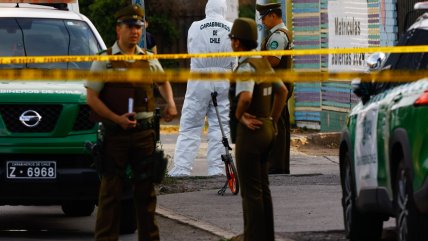   Menores armados con pistolas electroshock intentaron hacer un turbazo en mall Plaza Vespucio 