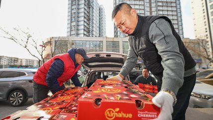   Chile mantiene posición como principal proveedor de cerezas de China por más de una década 