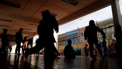   Subsecretaria de Educación: 