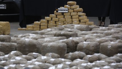   Experta: Debemos entender la mutación del crimen para desarrollar políticas que lo enfrenten 