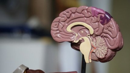   Congreso Futuro: El test desarrollado en Chile para la detección temprana del parkinson 