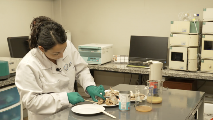   Los detalles de la venta de falso jurel importado de China 