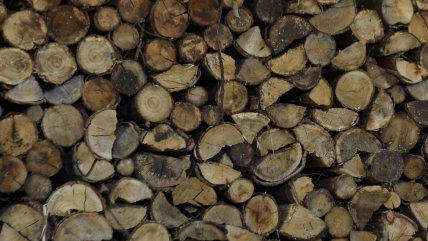   Asociación de Contratistas Forestales denuncian extorsiones para poder trabajar los bosques 