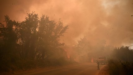   El fuego ha arrasado 10.000 hectáreas en Grecia en los últimos dos días 