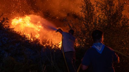   Graves incendios forestales azotan la península ibérica en medio del calor extremo 