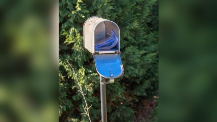   Carteros canadienses van a huelga por eliminación del reparto a domicilio 