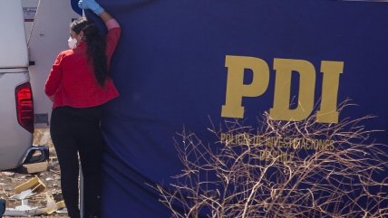   Trabajador forestal murió mientras realizaba tala de árboles en Los Ríos 