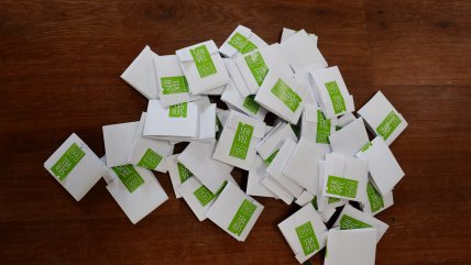  Politóloga llama a no 