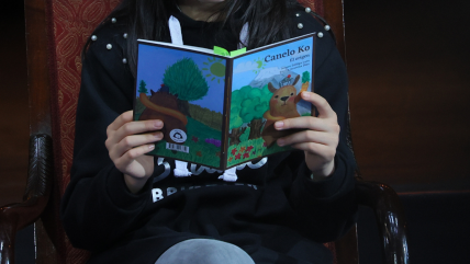   Últimos días de Filsa 2025: La literatura mapuche y las artesanías de Los Lagos 