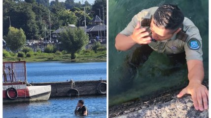   Carabinero se lanzó al Lago Villarrica para detener a un delincuente huidizo 