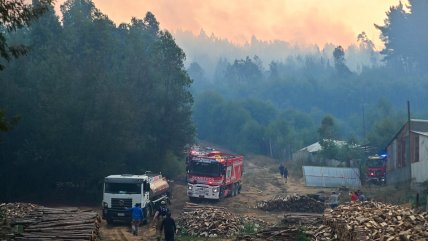   Creciendo Juntos: Consejos para el cuidado físico y emocional de los niños durante las emergencias 