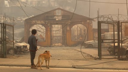   Supergeek en Cooperativa: El funcionamiento de las redes móviles durante una catástrofe 