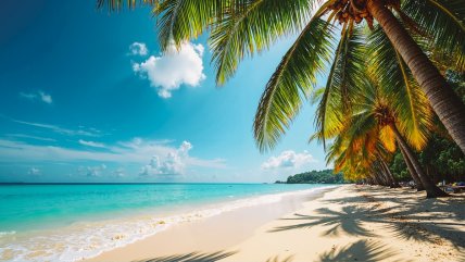   Más de 150 mil chilenos viajaron a República Dominicana en 2025 