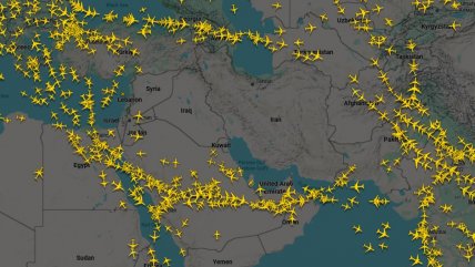   Experto por guerra en Medio Oriente: 