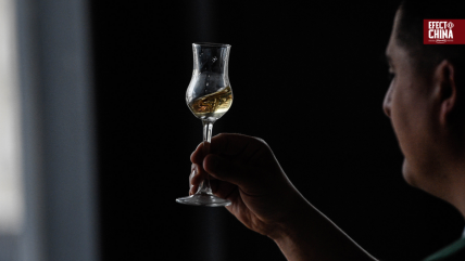   De consumo local a boom en Asia: China lidera compras de pisco chileno 